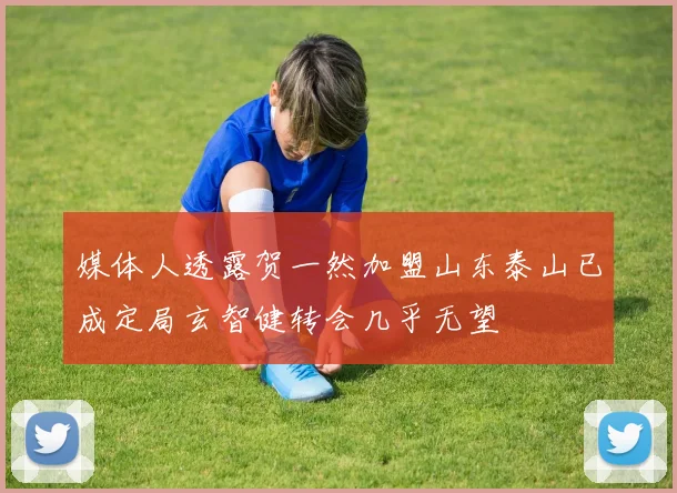 媒体人透露贺一然加盟山东泰山已成定局玄智健转会几乎无望