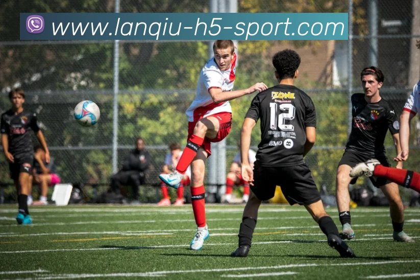 篮球赌注平台生态图