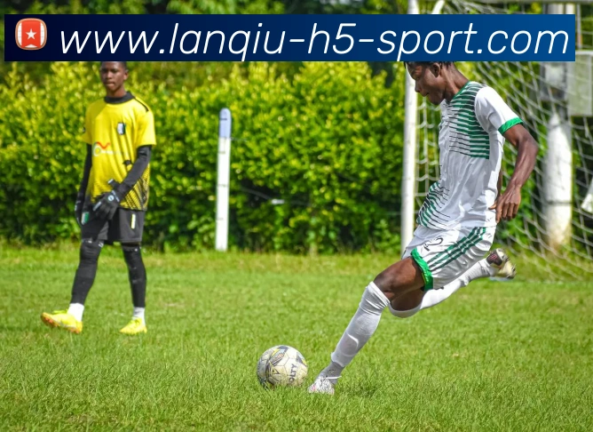 篮球赌注全站App